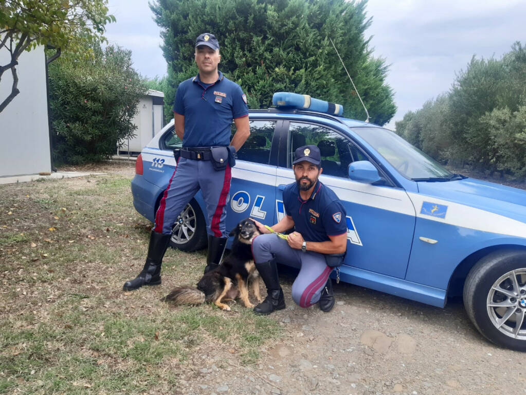 Cane Polizia